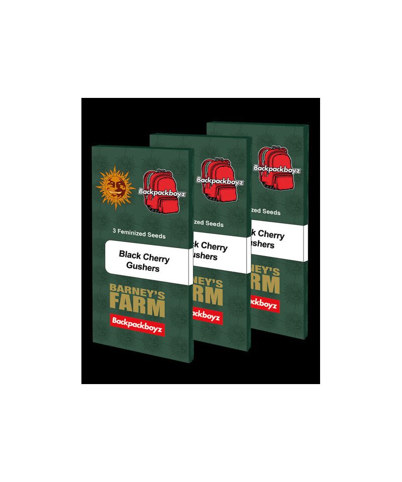 Black Cherry Gushers, Фасовка: 3, изображение 3